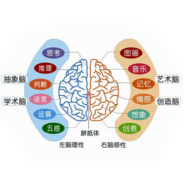 金陽光美術(shù)書法培訓(xùn)加盟