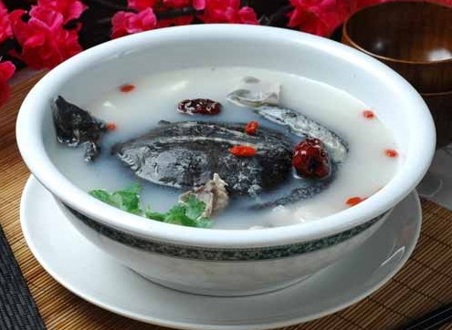 潮汕甲魚(yú)養(yǎng)生加盟