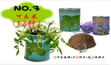 植物花草加盟