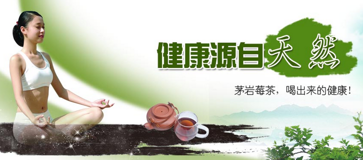 茅巖莓保健茶