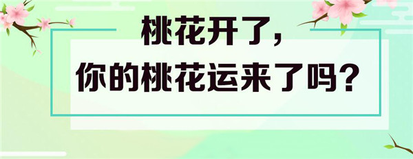 世紀佳緣約會吧加盟