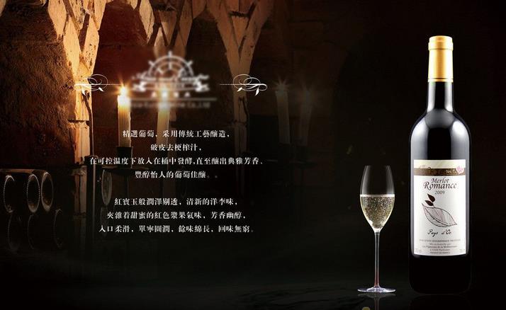 進(jìn)口葡萄酒加盟