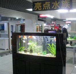 亮點(diǎn)水族箱加盟