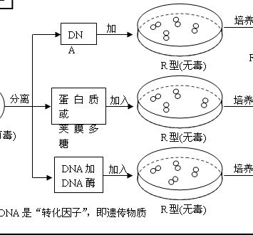 學(xué)庫網(wǎng)在線教育加盟