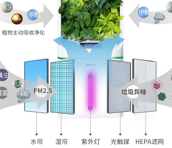 am:10空氣凈化器加盟