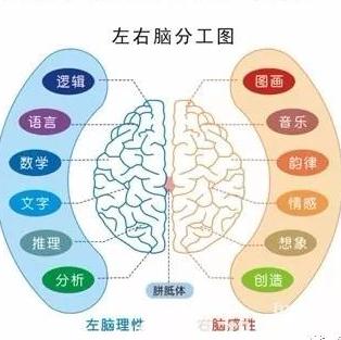 許博士全腦教育加盟