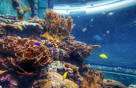 東海龍宮水族館加盟