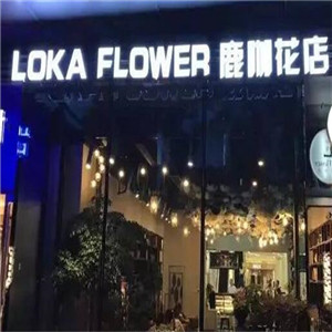 loka flower鹿咖花店加盟