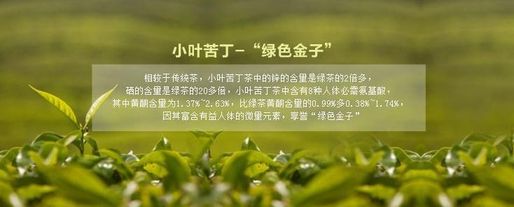 青山綠水茶葉加盟