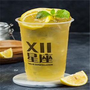 xii星座加盟