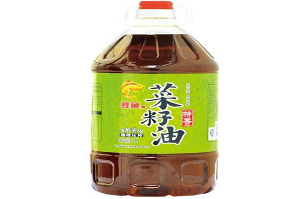 鯉魚牌菜籽油加盟