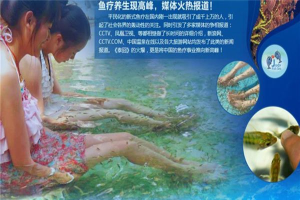 魚之吻足浴加盟