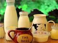 love?milk愛(ài)尚鮮奶吧加盟