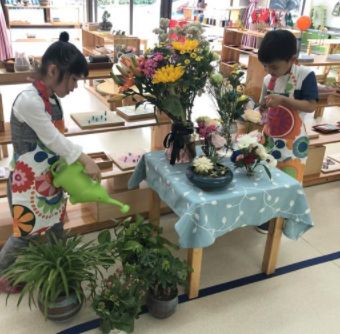 中天國際幼兒園加盟