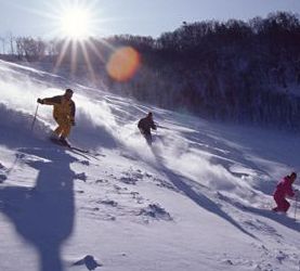 亞布力滑雪場加盟