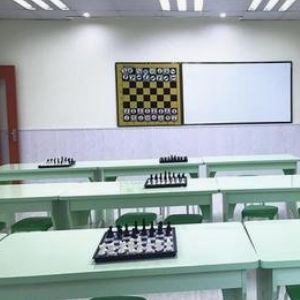 樹龍國際象棋俱樂部加盟