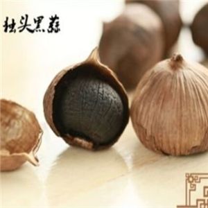 晨農(nóng)黑大蒜加盟