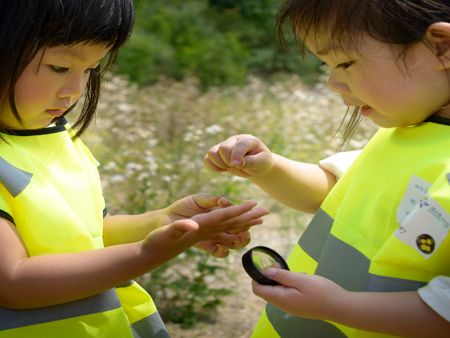 斯迪孚國際幼兒園聯(lián)盟加盟