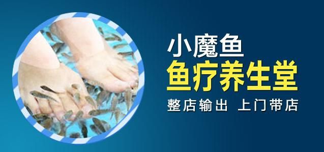 小魔魚養(yǎng)生會所加盟