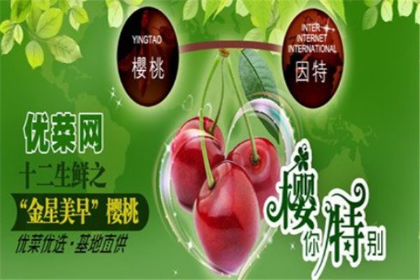 優(yōu)菜網(wǎng)加盟