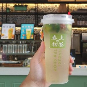 春上初茶加盟