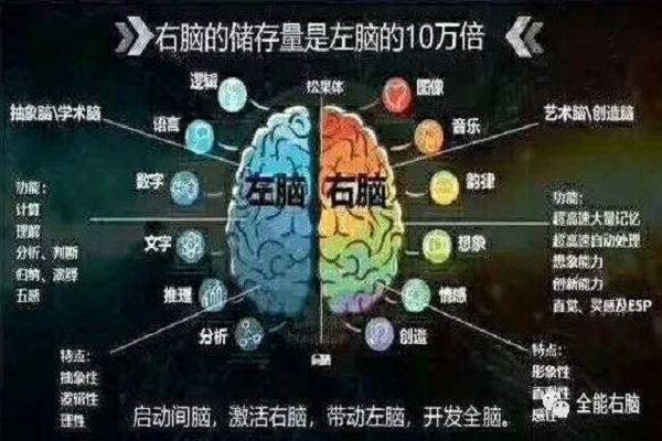 多方面右腦加盟