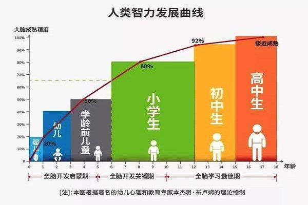 多方面右腦加盟