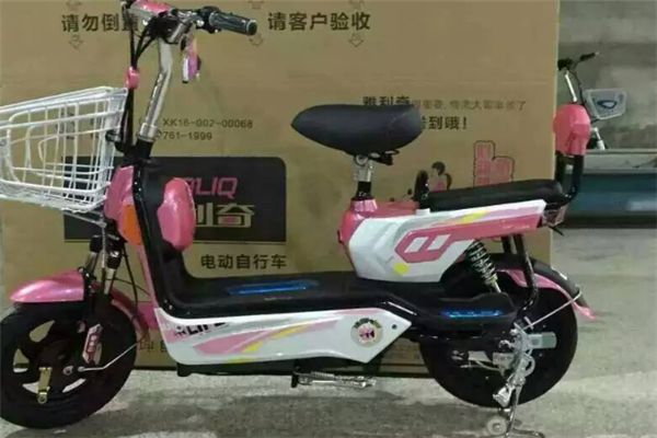 雅利奇電動(dòng)車加盟