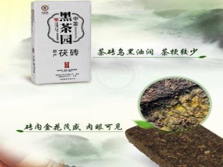 黑茶園加盟