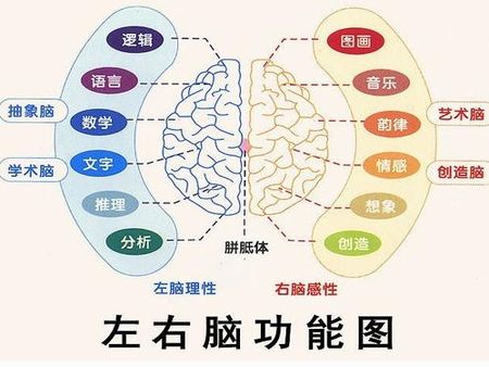 卓能右腦潛能開發(fā)加盟