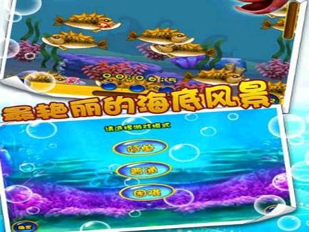 大魚吃小魚加盟