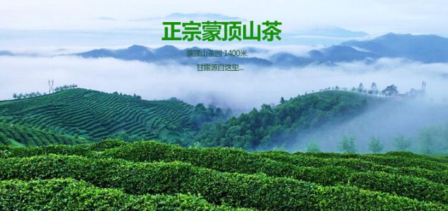 蒙頂山茶誠(chéng)邀加盟