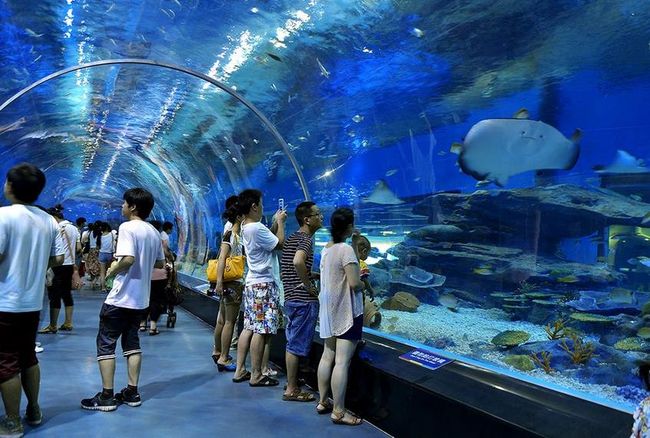 水族館加盟