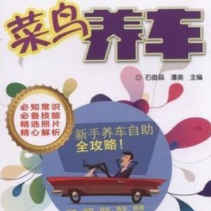 菜鳥養(yǎng)車加盟