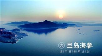 旦島海參加盟