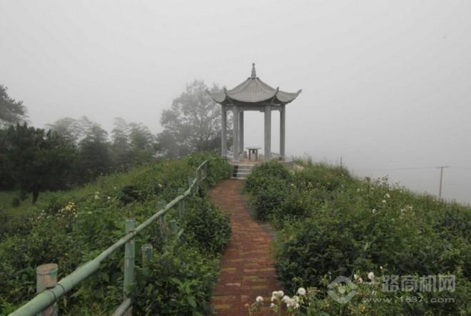 漢唐清茗茶葉加盟