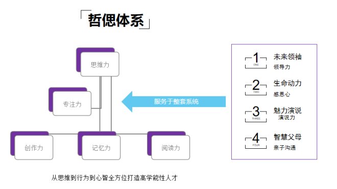 哲偲國(guó)際加盟